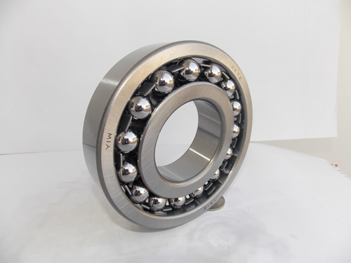 Fashion 1309 Bearing